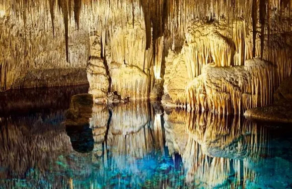 馬略卡島：德拉克洞穴及克里斯托港半日巴士遊