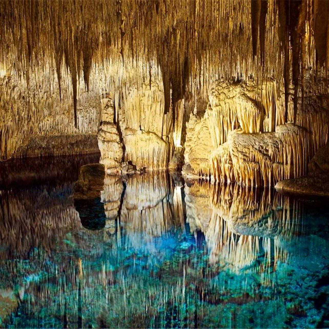 Mallorca: Excursión de medio día a las cuevas del Drach y Porto Cristo en autobús