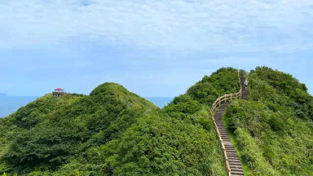 타이베이 비터우자오 공원 + 정빈 어항 + 화평도공원 + 지룽먀오커우 야시장 당일 치기 여행