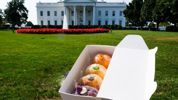 Washington D.C.Tours