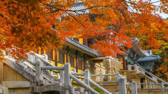 韓國古都慶州世界文化遺產一日遊 (釜山出發, 世界文化遺產)