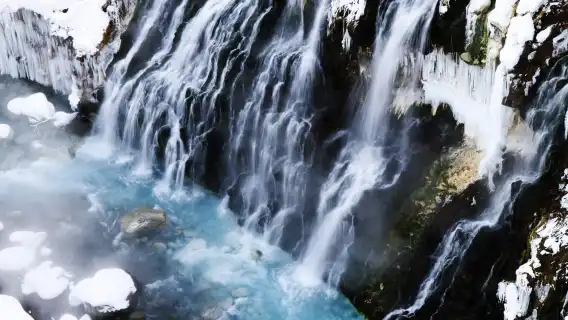 ทัวร์ 1 วัน บิเอะอาซาฮิกาวะ ฮอกไกโด|ทัวร์กลุ่มเล็ก 9 คน/ทัวร์รถบัส|อาจรวมตั๋วเข้าสวนสัตว์