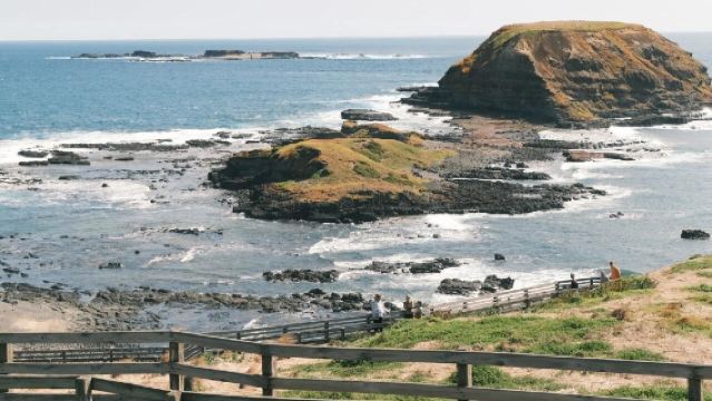 ทัวร์เช่า รถเช่าเหมา ทัวร์วันเดียว/ทัวร์หลายวัน ที่เมลเบิร์น น็อบบี้ส์ พอยต์ + เกาะฟิลลิป + หาดไบรตัน|บริการภาษาจีนและภาษาอังกฤษ