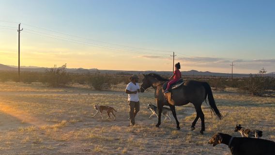 Pony Ride