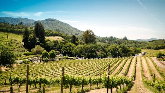 San FranciscoExperiences