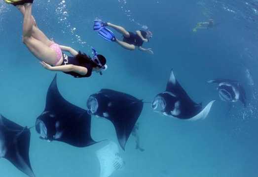 Nusa Penida: Shared Snorkeling 3-4 spots with guide