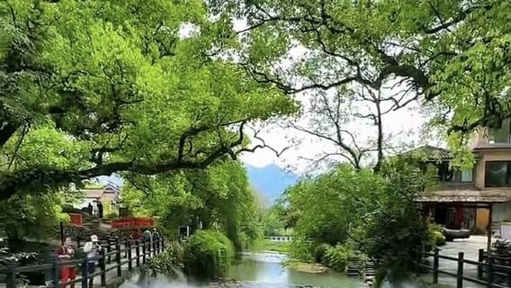 麗水—龍泉：龍泉山+下樟村+寶劍博物館 景點可訂製G