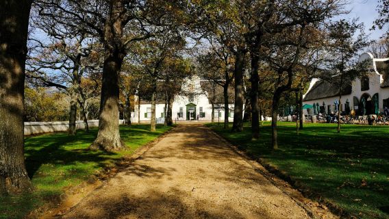 Groot Constantia Wine Estate