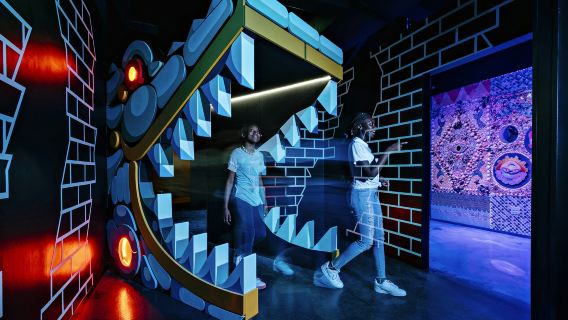 FloridaRAMA: Immersive Experience