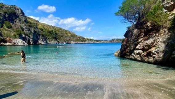 Camerota