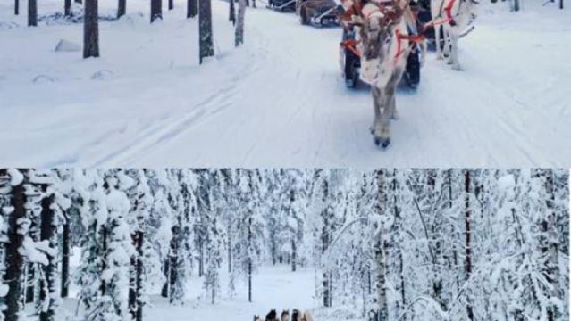 芬蘭羅瓦涅米教堂+聖誕老人村一日遊/行程可調-中文專車