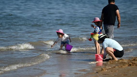 廈門趕海體驗【親子體驗+漁民生活+趕海抓螃蟹+提供工具】