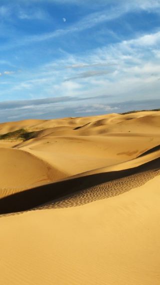 Private Day Tour to Kubuqi Desert From Hohhot: Golden Sand Adventur (Private Car +Tickets)
