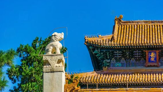 ZhuoluTours