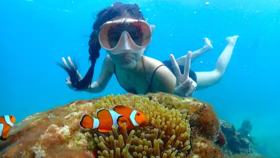 芭達雅:尼莫島私人快艇之旅含浮潛與BBQ