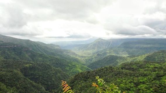 Explore the Southwest with Local Lunch & Rum Tasting