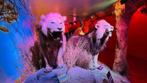 TOUR: "Dinosaur museum" with guide, transfer and tickets