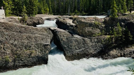 Banff: Moraine Lake, Lake Louise, Emerald Lake and Yoho Trip