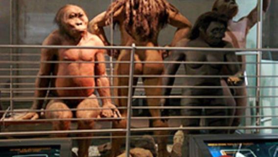 Soweto, Culla dell'umanità, Lions Park e Lesedi Cultural Vill