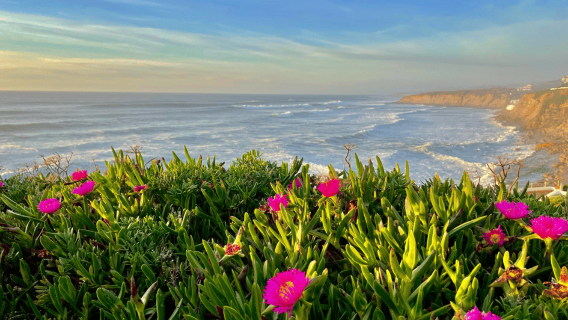 Von Lissabon: Mafra-Palast und Ericeira – Kulturerbe und die portugiesische Küste