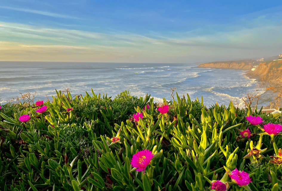 Von Lissabon: Mafra-Palast und Ericeira – Kulturerbe und die portugiesische Küste