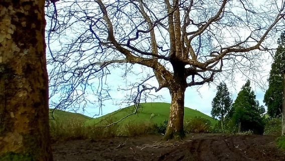 Full day Sete Cidades Lagoa de Fogo