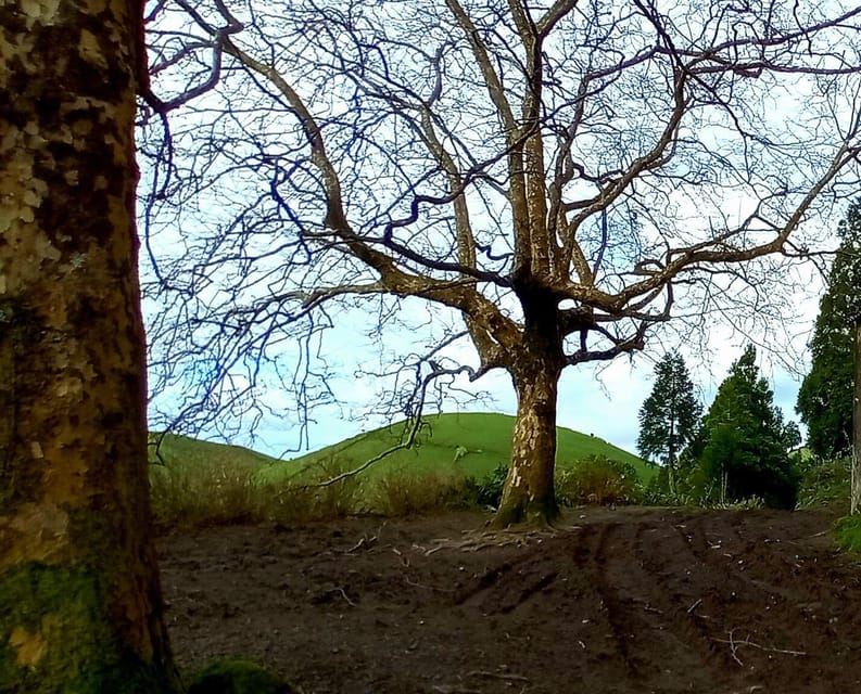 セテ シダデス ラゴア デ フォーゴ 1 日