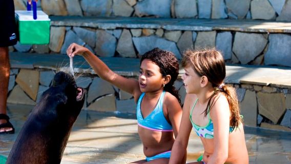 Biglietti per Puerto Plata Ocean World