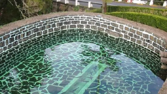 Madeira: Ribeiro Frio to Portela 4-Hour Guided Walk