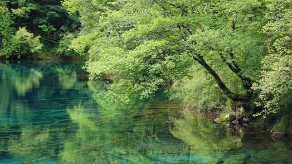 English-speaking guide | Jiuzhaigou 1-day tour highlights pure play | Exclusive multilingual guide commentary