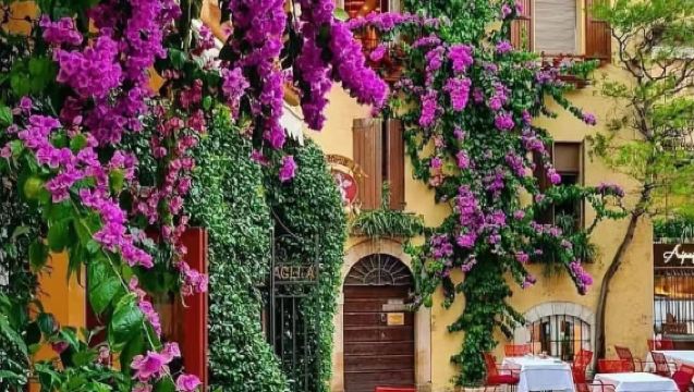 【義大利威尼斯來回】維羅納+博爾蓋托包車一日遊【中文司機】