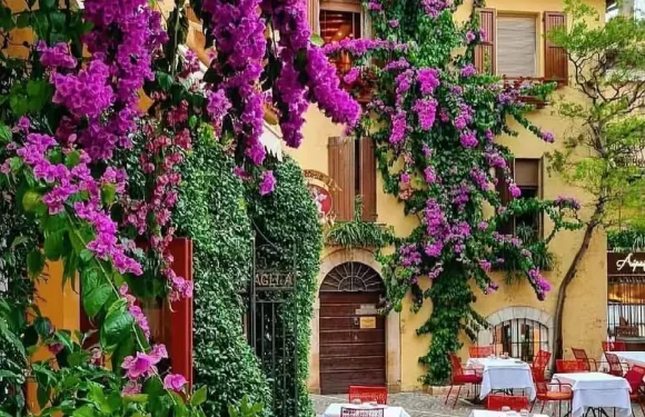 【意大利威尼斯來回】維羅納+博爾蓋托包車一日遊【中文司機】