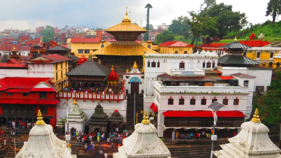 尼泊爾全境|商務考察翻譯|展會翻譯|旅遊陪同|醫學翻譯|名校導覽|雙語（中文/英文）