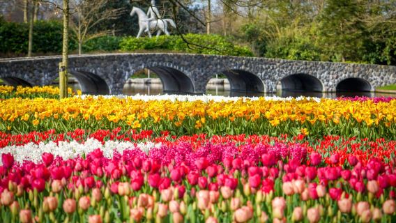 Amsterdam: Keukenhof Entry & Shuttlebus with Flexible Return