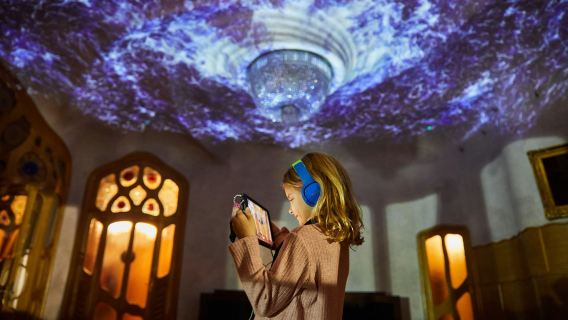 Casa Batlló: All-Inclusive Evening Ticket (Platinum)