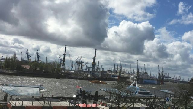 Hamburg: Private Guided Walking Tour