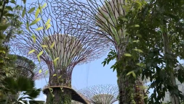 新加坡市區一日遊（10小時用車/景點任選）【市區上門接駁】