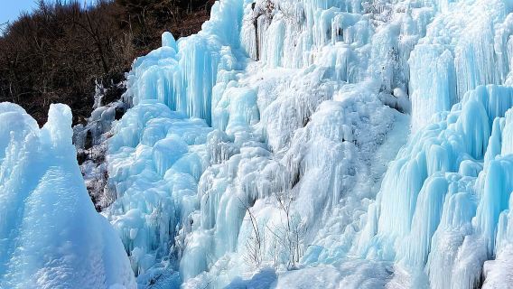 Partenza da Seul: Raccolta di fragole + Nami Island + Valle di Eobi + Bicicletta sui binari