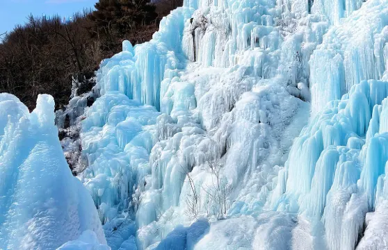 首爾出發：草莓摘採 + 南怡島 + 魚飛溪谷 + 鐵道單車