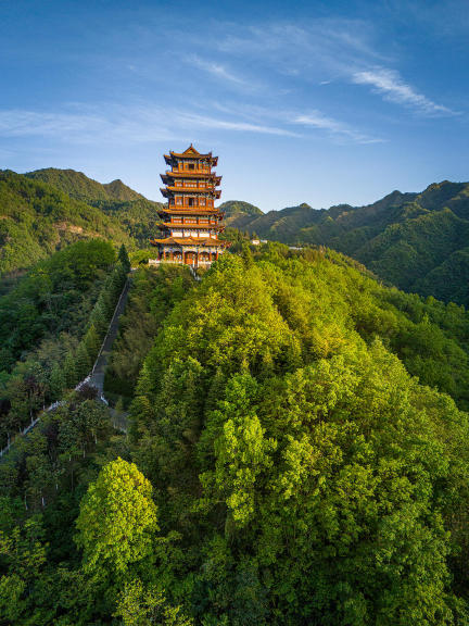1-day tour to Half Acre Tea Garden + North Five Provinces Guild Hall + Yinghu Lake in Ankang, Shaanx