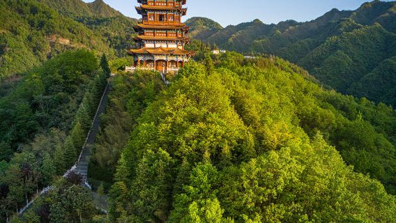 มณฑลส่านซี อันคัง สวนชาปั้นหมู่ + หอประชุมห้าจังหวัดภาคเหนือ + จื่อหยางเก๋อ + ทะเลสาบหยิงหู ทัวร์ 1 วัน พร้อมบริการภาษาอังกฤษ