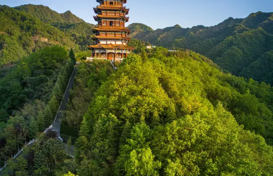 陝西安康半畝茶園+北五省會館+瀛湖一日遊中英文服務不含門票