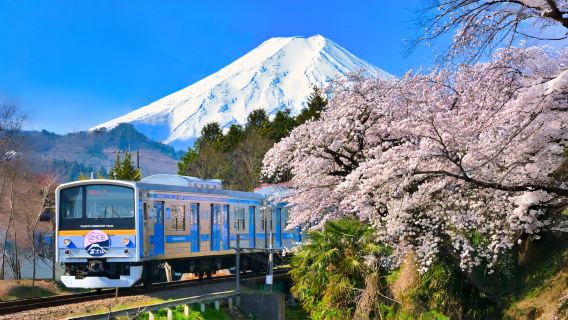 Mt. Fuji Special Train 1-day Tour to Twin Lakes: Lake Kawaguchiko Sightseeing Boat "Appare"/Cable Car + Lake Yamanaka + Popular Lawson Store