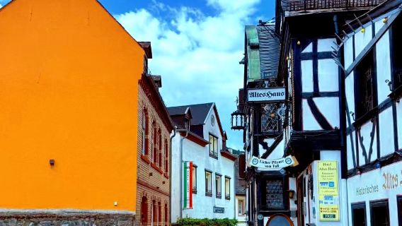 德國法蘭克福*呂德斯海姆*萊茵河谷遊船*海德堡包車一日遊