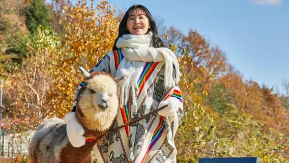 Chuncheon + Nami Island Day Tour (Alpaca World/ Nami Island /Gangchon Railbike)