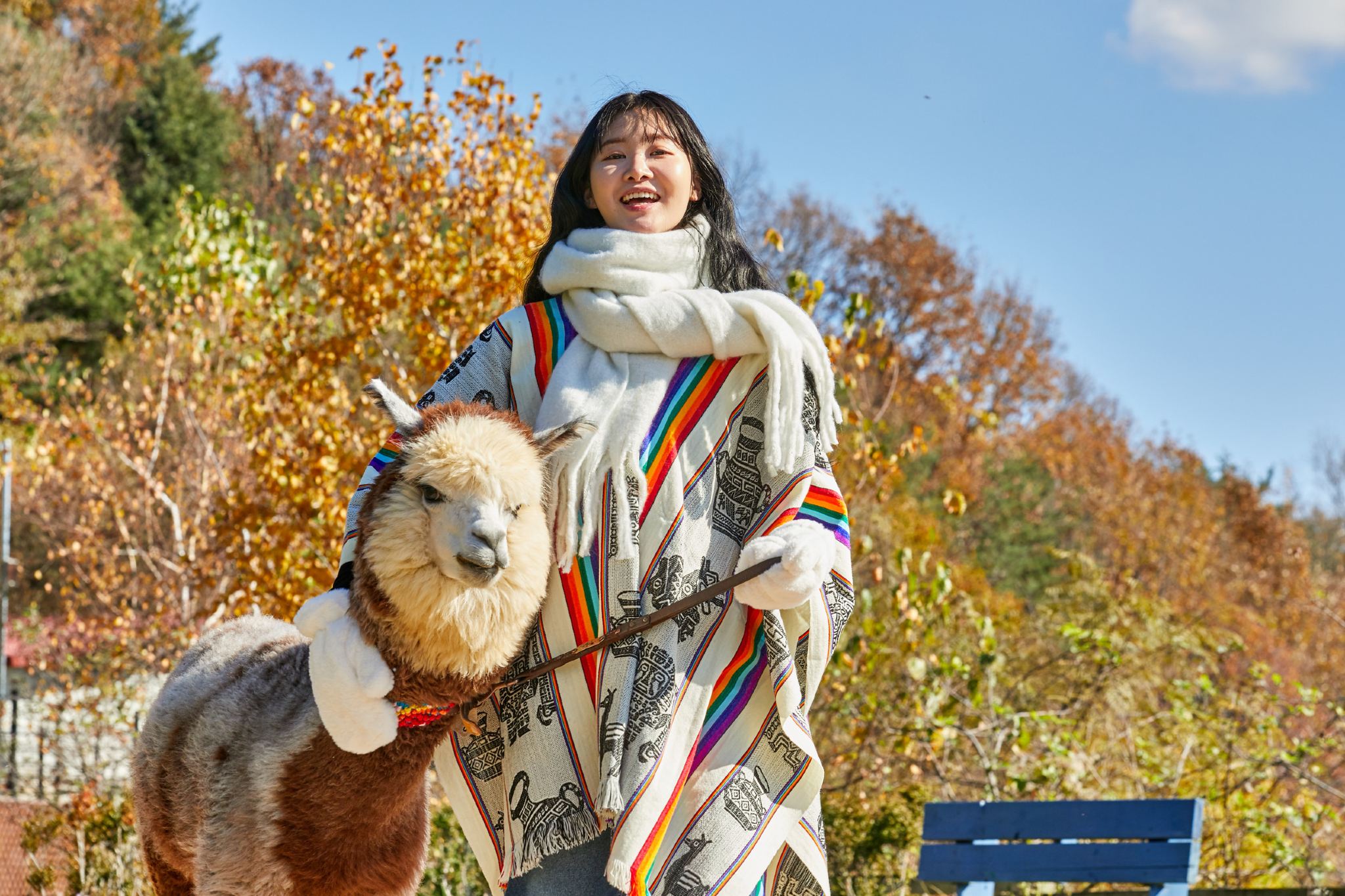 Chuncheon + Nami Island Day Tour (Alpaca World/Petite France/Alpaca World)