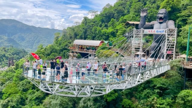 Guangzhou Day Tour: Qingyuan Gulong Gorge Glass Bridge, Waterfall Hike & Mountain Coaster