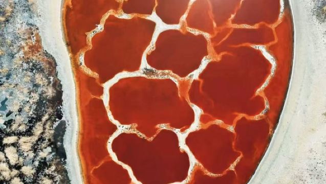 China Ningxia: Pengembaraan Menyeberangi Lima Tasik Gurun Tengger | Pergi-balik Yinchuan/Zhongwei/Pintu Gurun