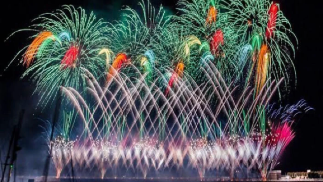 1-day tour from Tokyo to Izu: Mt. Omuro + Jogasaki Coast with Atami fireworks