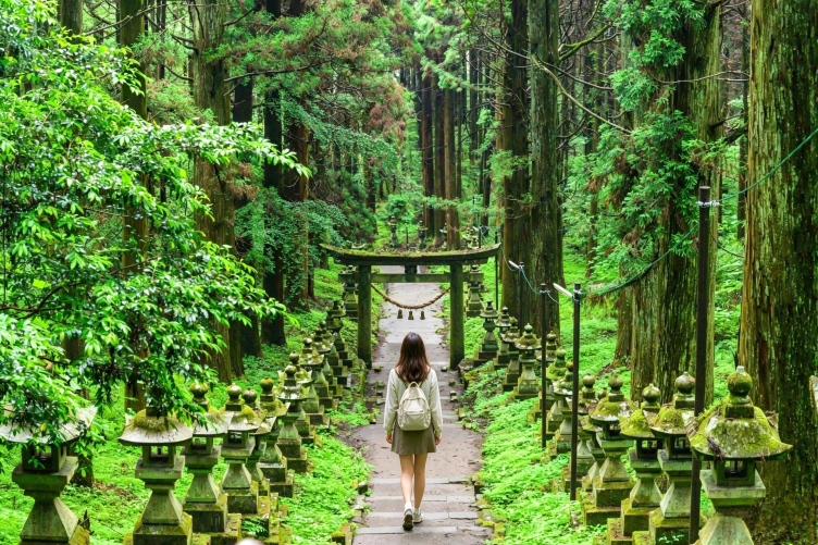 福岡発：高千穂峡の絶景＋天岩戸神社 西本宮＋戸岩パワースポット癒し
